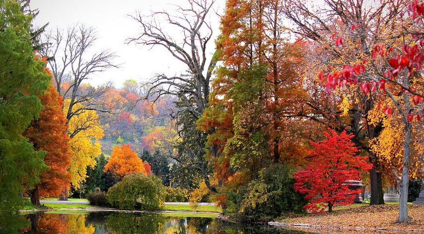 Spring Grove, United States